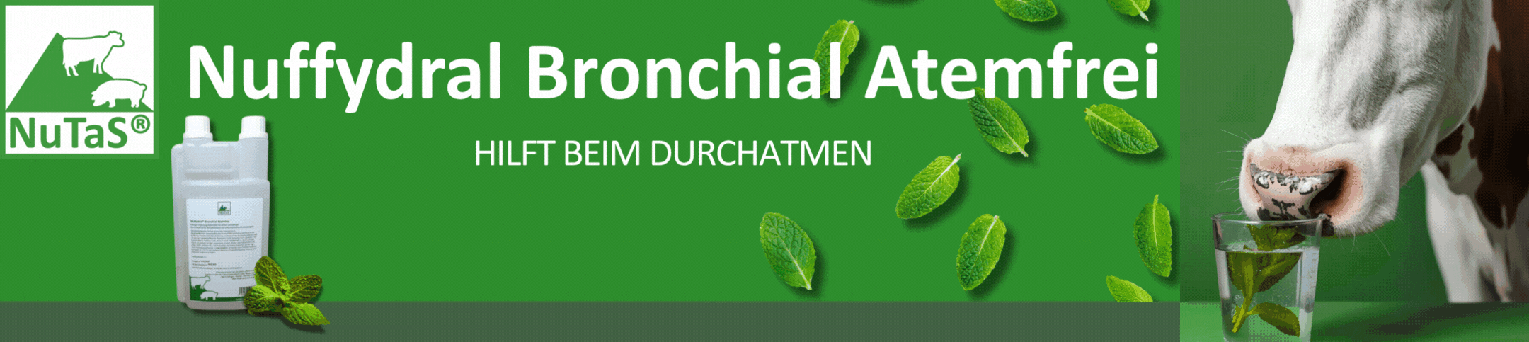 Der Winter kann kommen mit Nuffydral von NuTaS