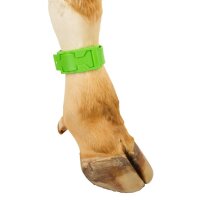 Fesselb&auml;nder zur Markierung Gr&uuml;n