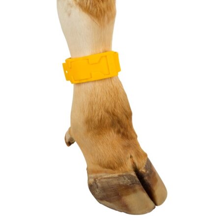 Fesselbänder zur Markierung Gelb