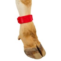 Fesselb&auml;nder zur Markierung Rot