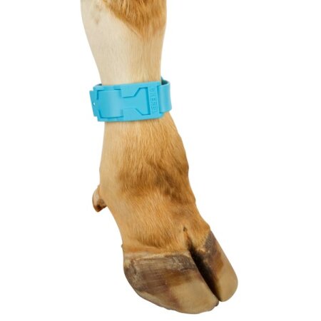 Fesselbänder zur Markierung Blau