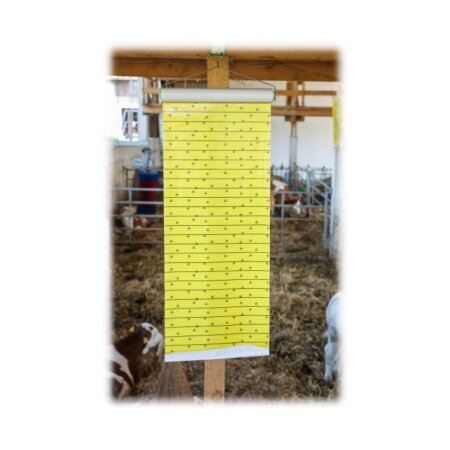 cit Stall-Fliegenrolle JumboXL mit Lockstoff 10 m x 40 cm