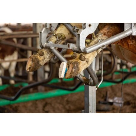 TECHNOBASE 2CB Klauenkleber | 210,0 ml