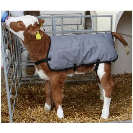 Kälberdecke | Thermodecke für junge Kälber | 80 cm