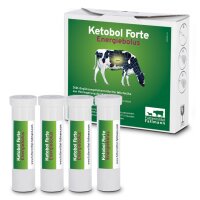 Ketobol Forte Energiebolus | 4 x 185,0 g